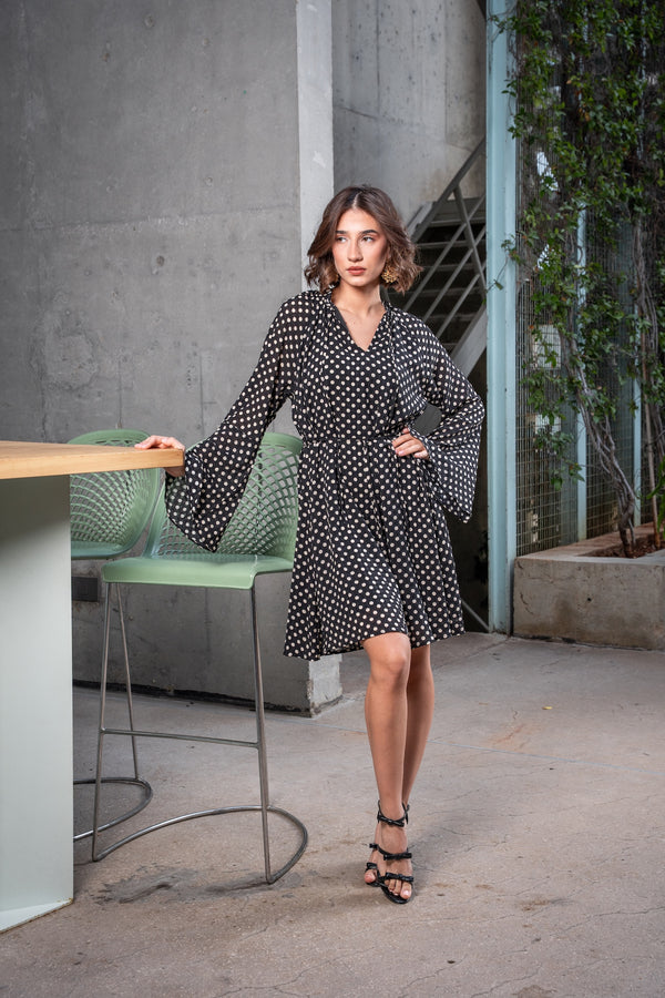 Anita Polka Dot Dress