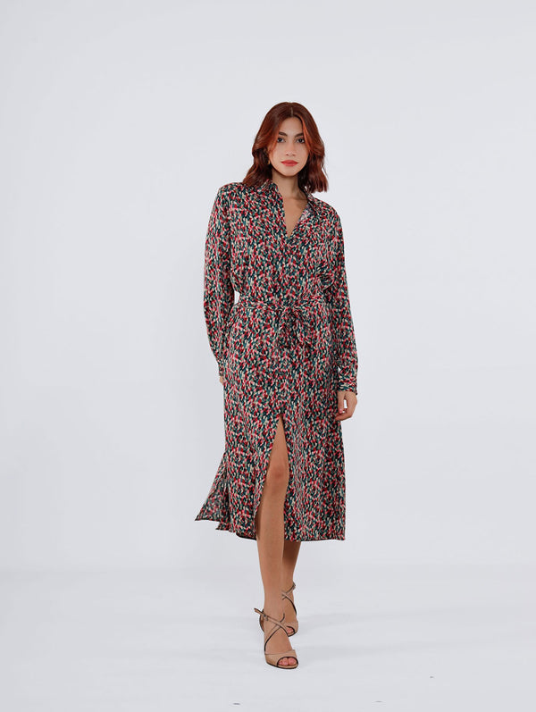 Myla Shirt Printed Dress